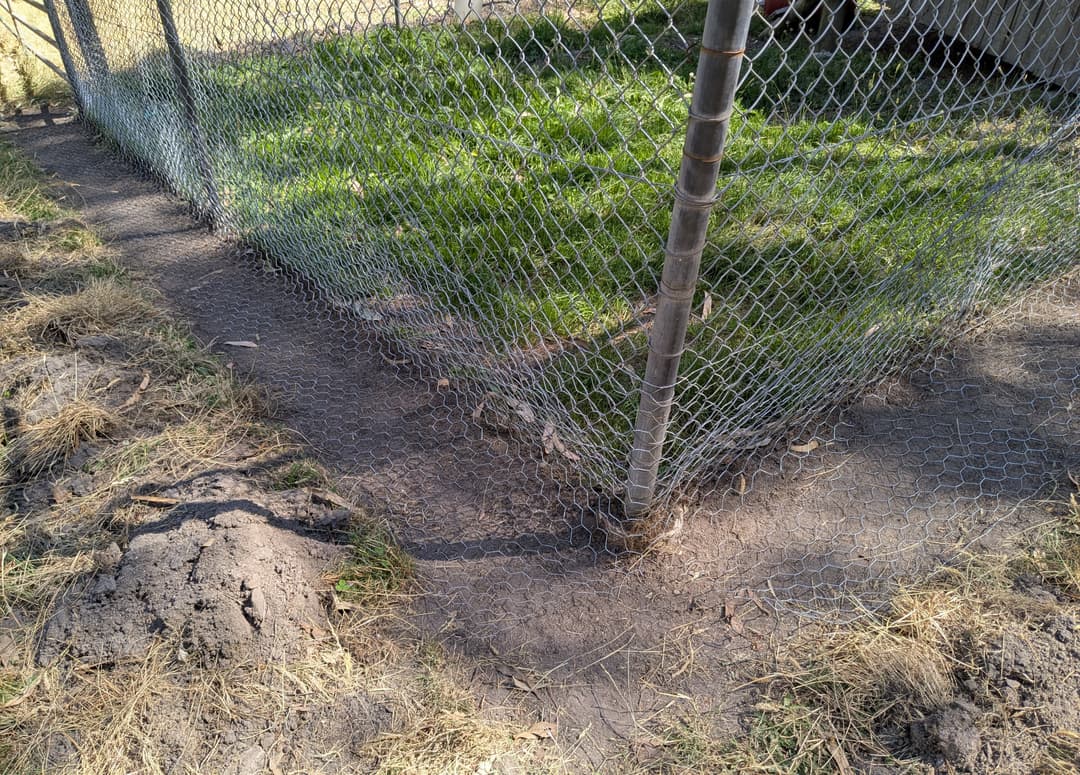 Digging around the fence line was tough work