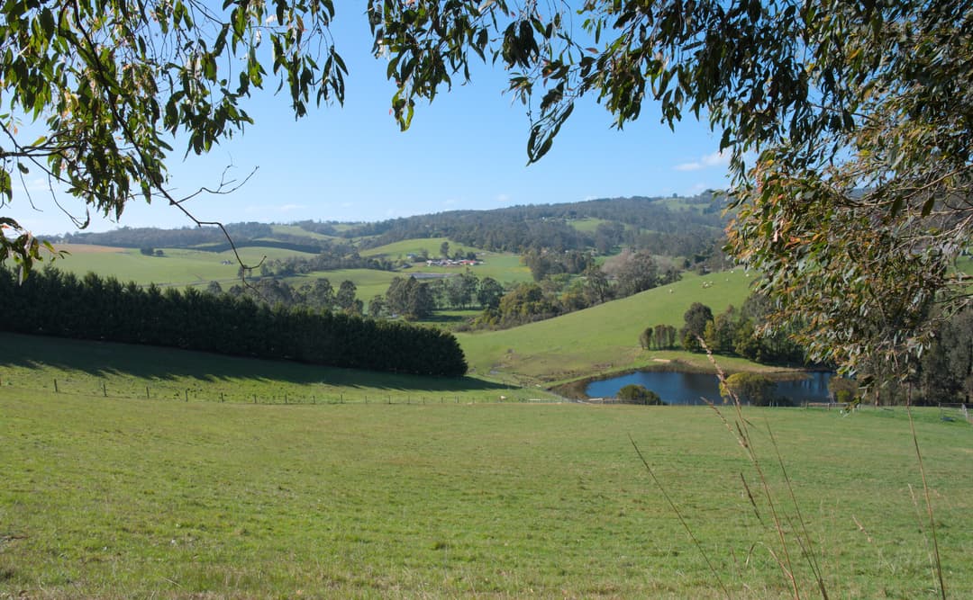 The view from the top paddock