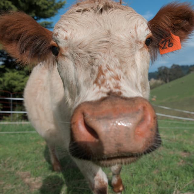 Day in the Life: A Photo Essay