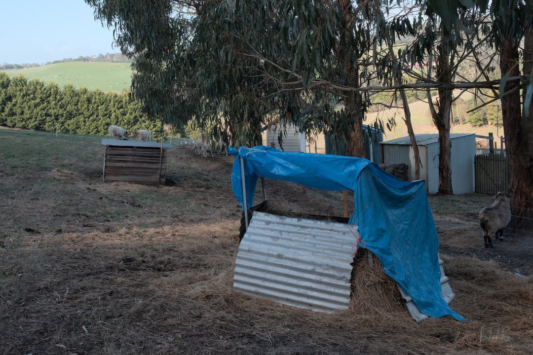 The new hay bale is too heavy to lift, so hopefully this is a good spot for it!