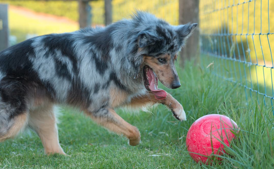 It was going to take some work to convince Stampa to leave his ball behind