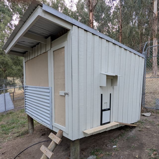 More Than We Bargained For: Uplifting the Chicken Coop