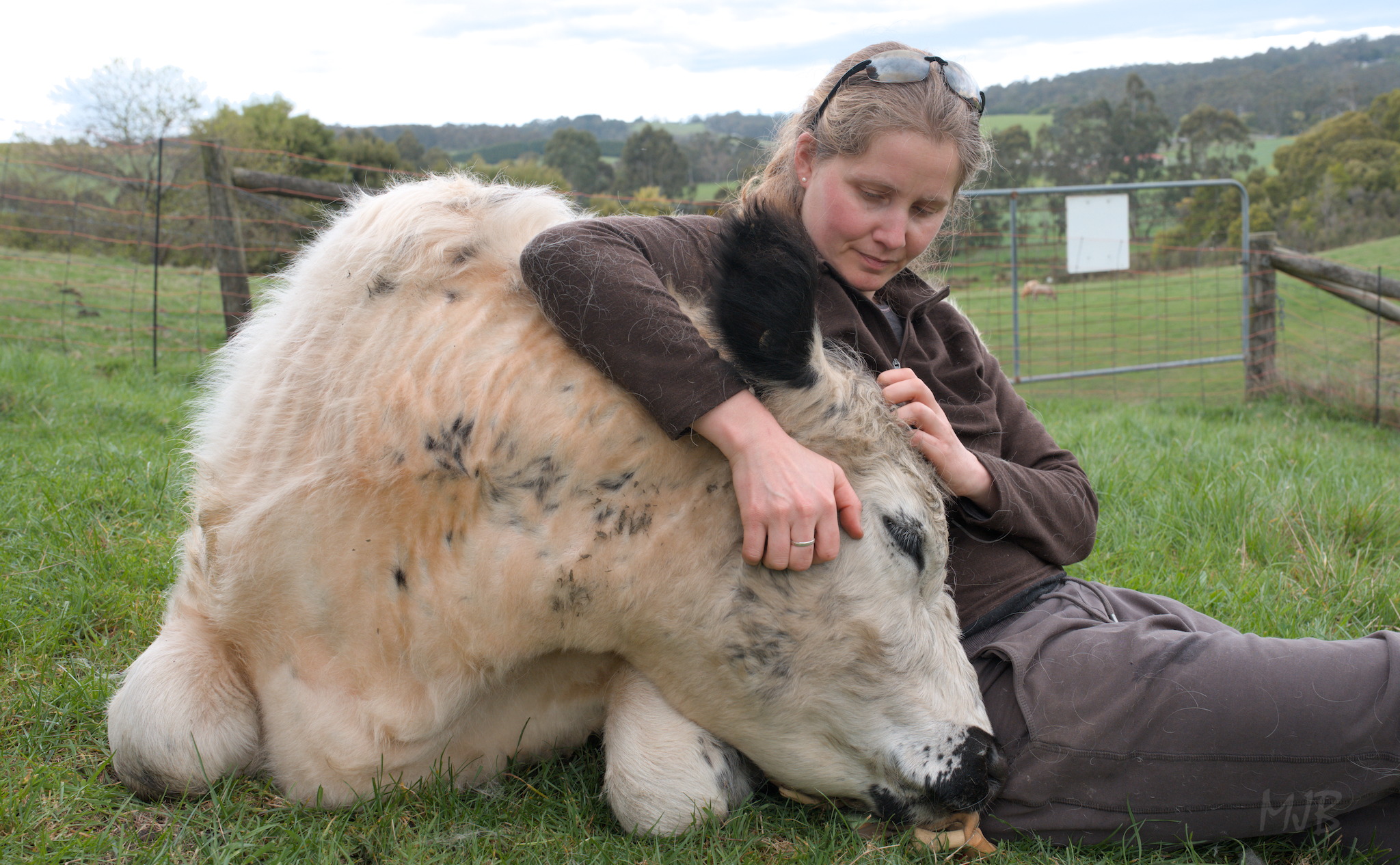 Cuddles in the paddock with Oreo is one of our favourite pastimes